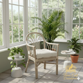Fan-Back Accent Chair
